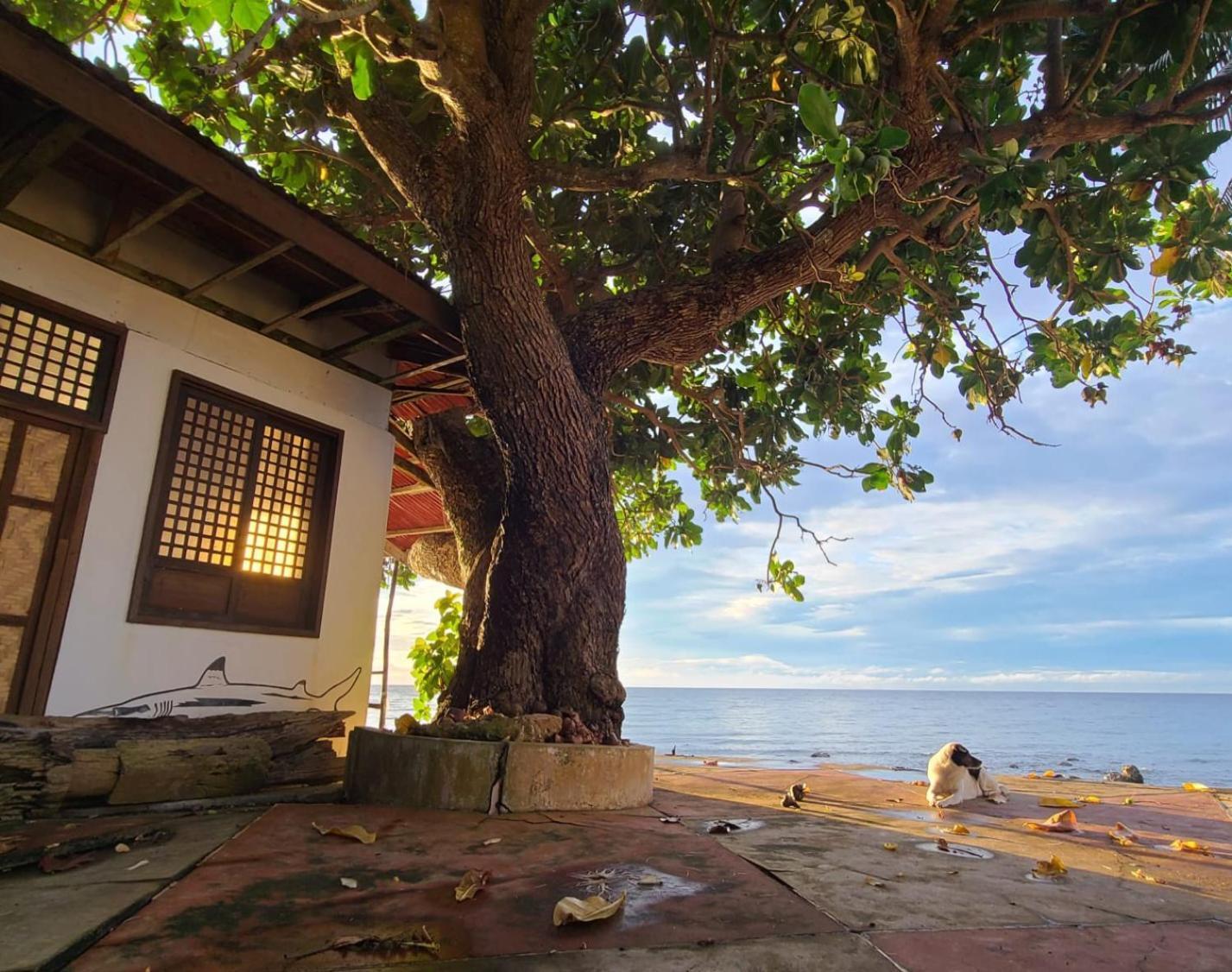 Paseo Del Mar Seaside Inn Jagna Экстерьер фото