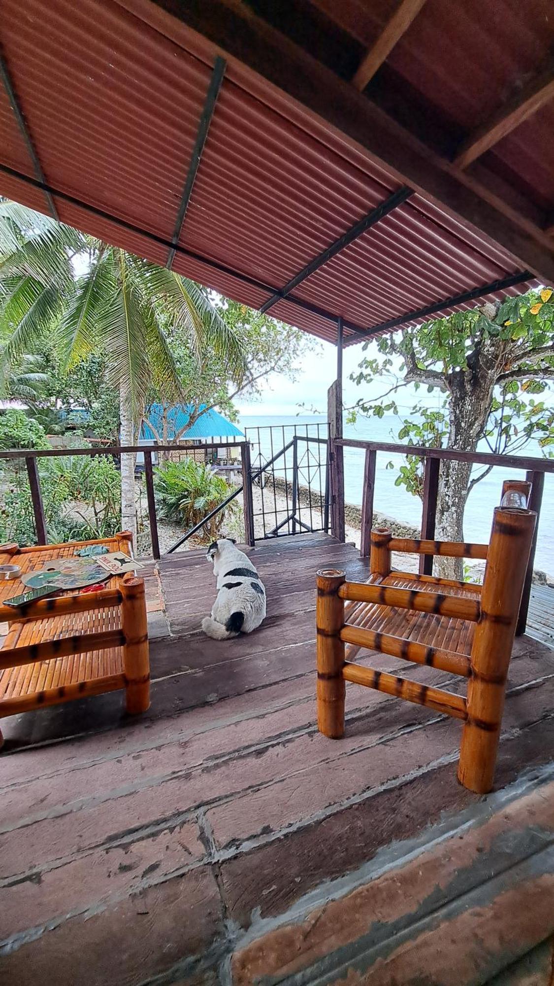 Paseo Del Mar Seaside Inn Jagna Экстерьер фото